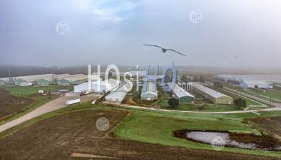 Egg Farm - Aerial Photography