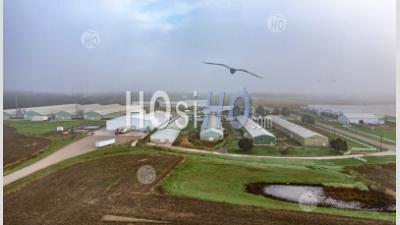 Egg Farm - Aerial Photography