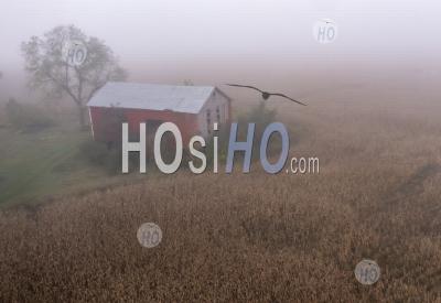 Barn And Corn Field In The Fog - Aerial Photography
