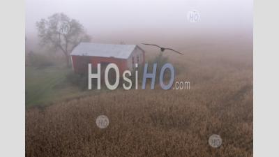Barn And Corn Field In The Fog - Aerial Photography
