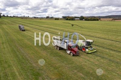 Alfalfa Harvest - Aerial Photography