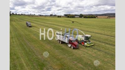 Alfalfa Harvest - Aerial Photography