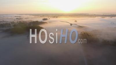 Sunrise Over The Ried, Alsace - Video Drone Footage