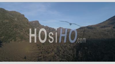 Vesuvio - Mount Somma - Video Drone Footage
