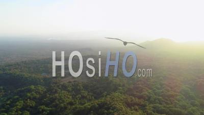 Voler Au-Dessus Des Falaises De La Forêt De Harenna, Parc National Des Montagnes De Bale En Ethiopie. - Vidéo Par Drones