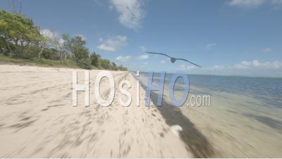 Nouvelle Calédonie Fpv - Vidéo Drone