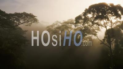 Aerial Drone View Of Costa Rica Rainforest Canopy In Mist, Beautiful Misty Tropical Jungle Trees And Treetops Scenery Nature Landscape In Dramatic Sunlight At Sunrise With Light Rays And Sun Shining