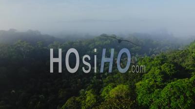 Aerial Drone View Of Rainforest Scenery In Costa Rica, Above Trees And Clouds In Misty Landscape, Vast Remote Amazing Tropical Jungle Landscape, High Up Establishing Shot About Climate Change