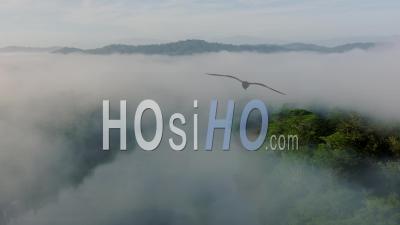 Aerial Drone View Of Rainforest River Landscape With Costa Rica Mountains, Beautiful Misty Tropical Jungle Scenery, High Shot About Climate Change, Global Warming And Conservation