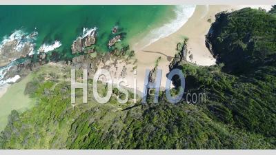 Vue Aérienne Montre La Falaise Boisée De Whites Beach à Byron's Bay, En Australie - Vidéo Par Drone