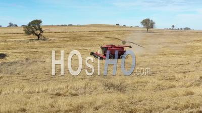 2020 - A Farming Combine Cuts Through A Short Field In Parkes, New South Wales, Australia - Video Drone Footage