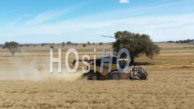 2020 - A Farming Combine Raises Dust And Cuts Through A Field In Parkes, New South Wales, Australia - Video Drone Footage