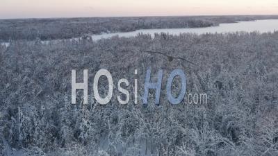 Snow-Covered Cabin In Forest At Sunset, Minnesota, Usa - Video Drone Footage