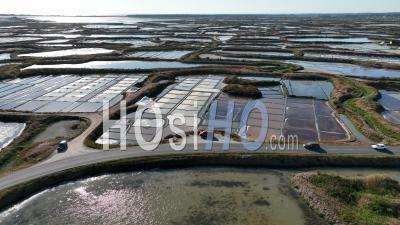 Salt Marshes In Guerande, Loire-Atlantique, France - Video Drone Footage