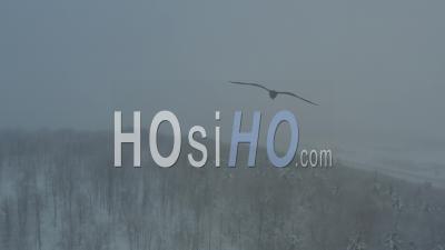  Forêts Couvertes De Neige Le Jour Brumeux, Wisconsin, États-Unis - Vidéo Par Drone