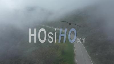 Andon, Route Dans La Brume, Réserve Biologique Des Monts D'azur, Alpes-Maritimes, France - Vidéo Par Drone