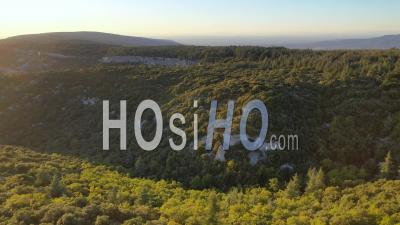 Cedar Forest Of Petit Luberon, Luberon Natural Regional Park, Lacoste, Vaucluse, France - Drone Point Of View