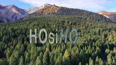 Boscodon Forest In Autumn, Crots, Hautes-Alpes, France - Drone Point Of View