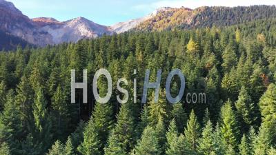 Forêt De Boscodon En Automne, Crots, Hautes-Alpes, France - Vidéo Par Drone