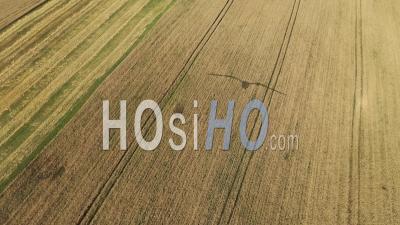 Agriculture Field - Video Drone Footage