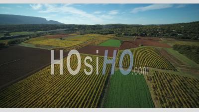 Provence Vineyard In Autumn, Ollieres, Var  France - Video Drone Footage