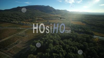 Provence Vineyard In Autumn, Pourcieux Var, France - Aerial Photography