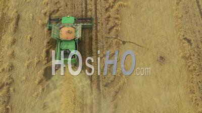 Combine Harvester Passing A Montagu Harrier Nest Protected By A Wire Mesh Cage, Baby Birds Inside, France, Drone Point Of View