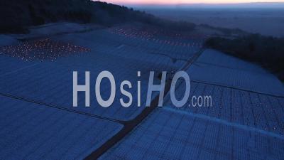 Candles In Burgundy Vinyards To Prevent Frost Damage - Video Drone Footage