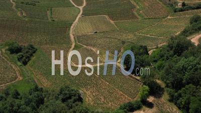 Saint-Romain Hils And Vineyards In Burgundy, France - Video Drone Footage