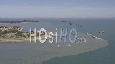 Vue Drone De L'ile D'aix, L'arrivée Des Visiteurs En Bateau