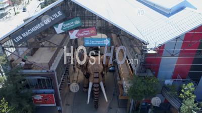 Confined Grand Elephant In The Island Of Nantes, At Day19 Of Covid-19 Outbreak, France - Photo Drone 