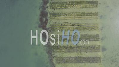 Drone View Of Arzon, View Top Of Oyster Beds, Palisse Tip
