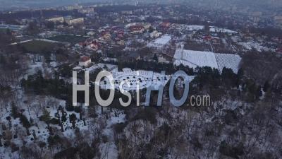 Lasi Botanical Garden By Winter - Video Drone Footage