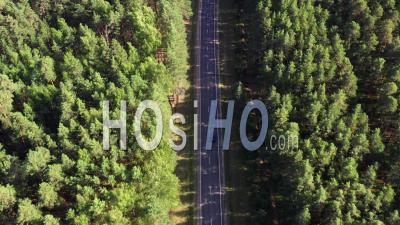Aerial View Of Pine Trees And Asphalt Road. - Video Drone Footage