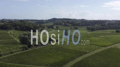 Drone View Of The Bordeaux Vineyard, Vineyard In Fronsadais