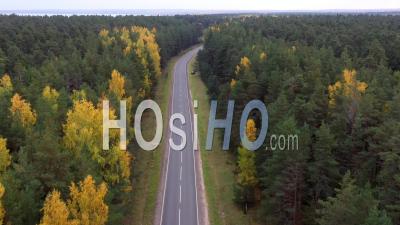 Aerial View Of Countryside Road Passing Through The Autumn Forest. - Video Drone Footage