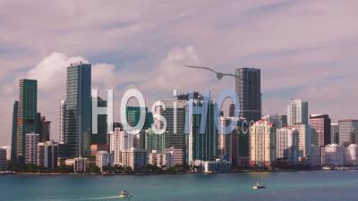 Centre-Ville De Miami, Pendant La Journée - Vidéo Drone