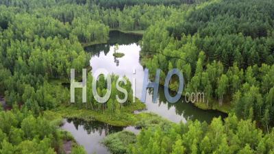 Vue Aérienne D'un Lac Forestier Avec Une Petite île. - Vidéo Prise Par Drone
