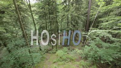 Forêt Enchantée De Huelgoat - Vidéo Par Drone
