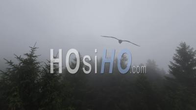 Vosges Dans Le Brouillard - Vidéo Par Drone