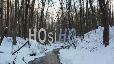 Vol à Basse Altitude Au-Dessus D'une Petite Rivière Gelée Dans Une Forêt Hivernale. - Vidéo Prise Par Drone