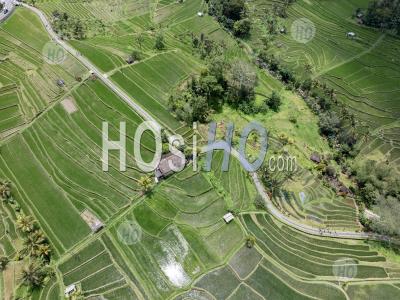 Jatiluwih Rice Terraces, Tabanan, Bali, Indonesia - Aerial Photography