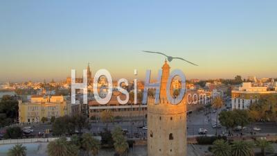 Torre Del Oro, Sevilla, Vidéo Drone