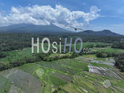 Abang Rice Terraces, Near Lempuyang Temple, With Agung Volcano, Bali, Indonesia - Aerial Photography