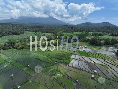 Abang Rice Terraces, Near Lempuyang Temple, With Agung Volcano, Bali, Indonesia - Aerial Photography