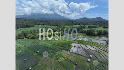 Abang Rice Terraces, Near Lempuyang Temple, With Agung Volcano, Bali, Indonesia - Aerial Photography