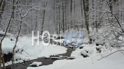 Vol Dans Une Forêt D'hiver Recouverte De Neige Fraîche Au-Dessus D'une Petite Rivière Forestière. - Vidéo Par Drone