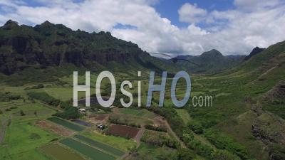 Kaaawa Valley, Windward, Hawaii - Video Drone Footage