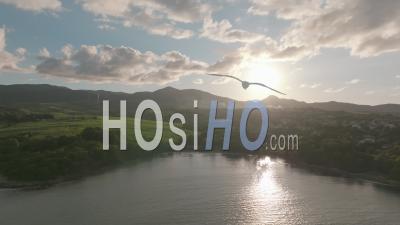 Sugercane And Caribbean Sea At Sunset - Video Drone Footage