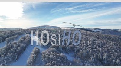 Col De La Schlucht Sous La Neige - Vosges - Vidéo Par Drone